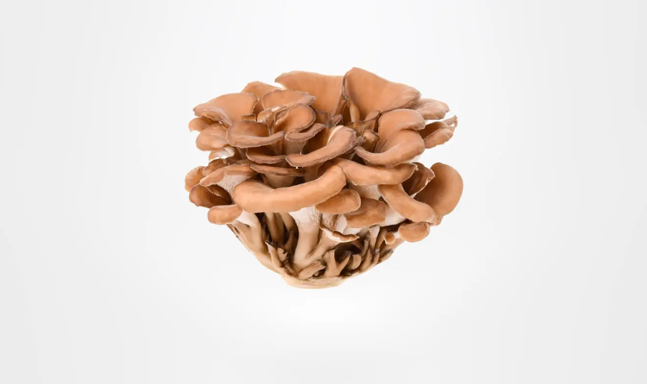 maitake mushrooms n 5