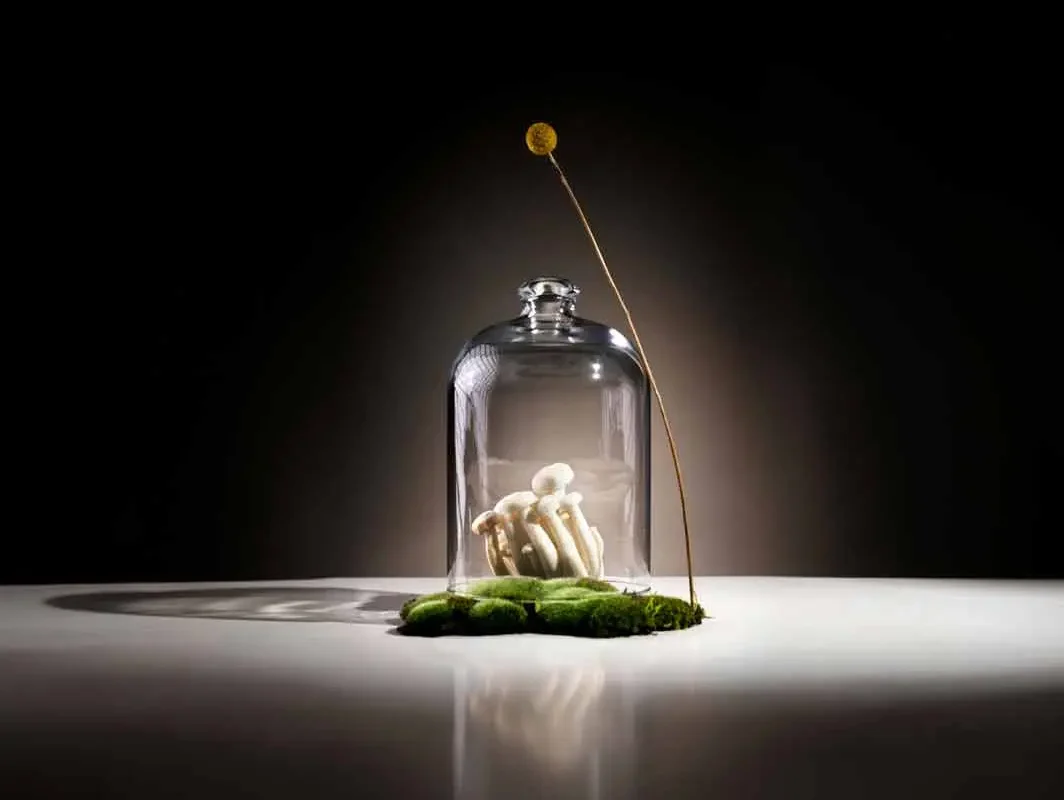 Bones under glass dome with moss